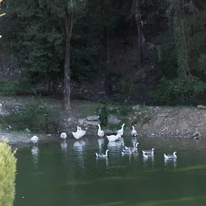 Tenuta La Bandita 3* Sassetta
